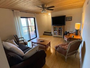 TV, DVD player, books