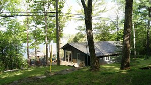 A cabin with a metal roof, surrounded by trees and a body of water.