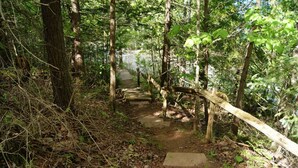 A forested path with a wooden bridge and a stone staircase.