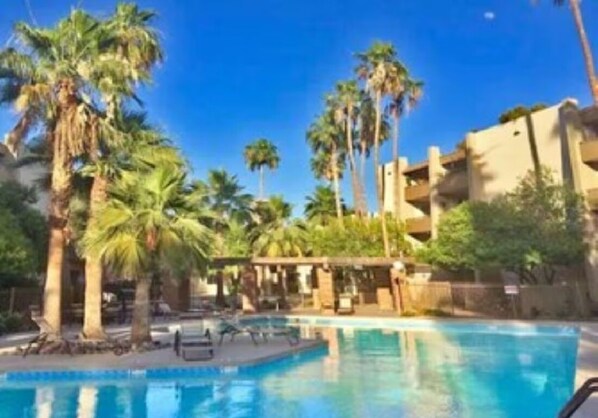 Relax by the pool surrounded by palm trees and lounge chairs.