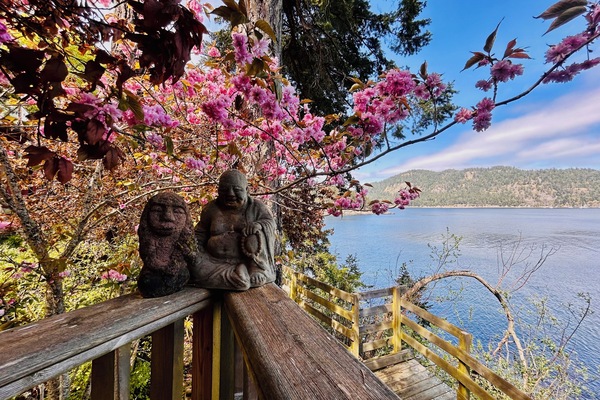 Àrea exterior de l'allotjament