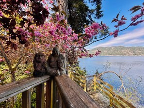 Property grounds - Beautiful, quiet place to stay with lovely beach access and stunning views.  (Pender Island)