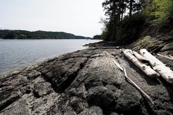 A rocky shoreline with logs and a forested hill in the background.