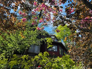 A wooden house with a balcony, surrounded by trees with pink flowers and green leaves. - Shangrila Luxury Waterfront King Suite | Private Balcony & Beach Access (Pender Island)