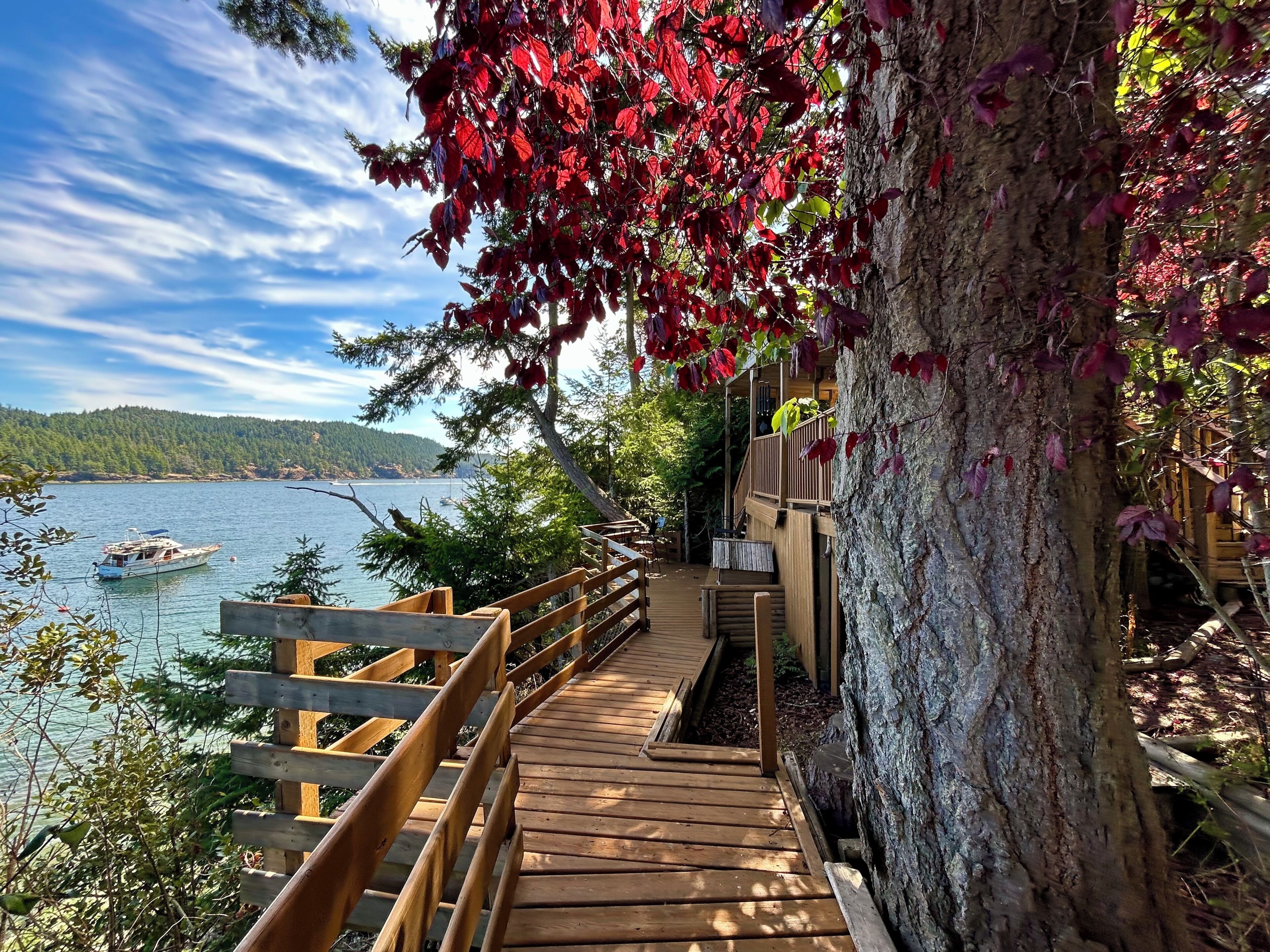 A wooden deck leading to a cabin with a view of a lake and a boat.