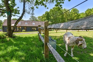 Enceinte de l’hébergement