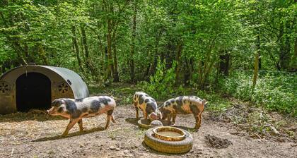 Taylors Copse Cottage by inspirestays.com - a cottage that sleeps 5 guests in 2 bedrooms