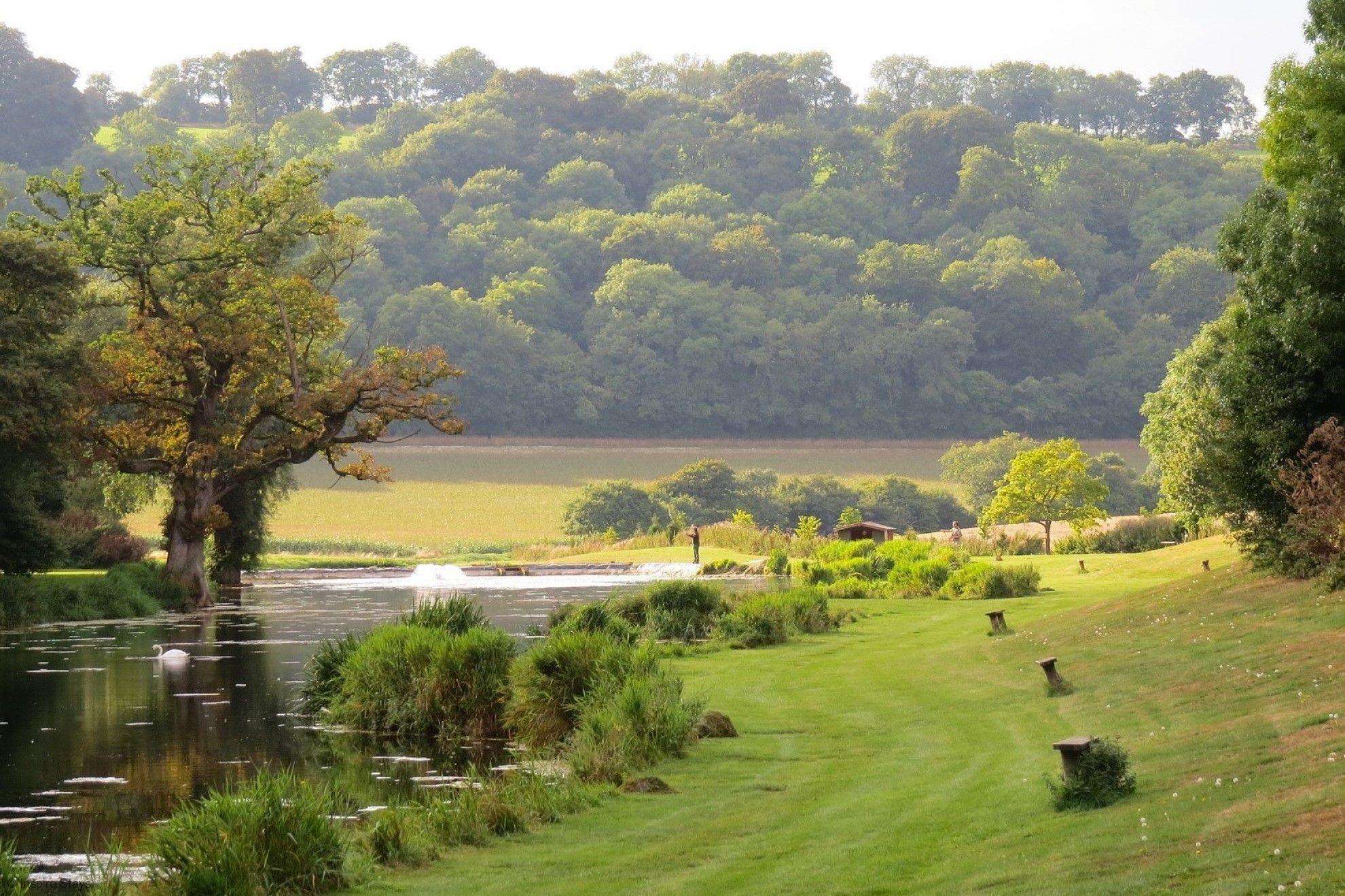 A serene riverside landscape with a grassy path, trees, and a small building in the distance.