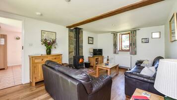 Smart TV, fireplace, books