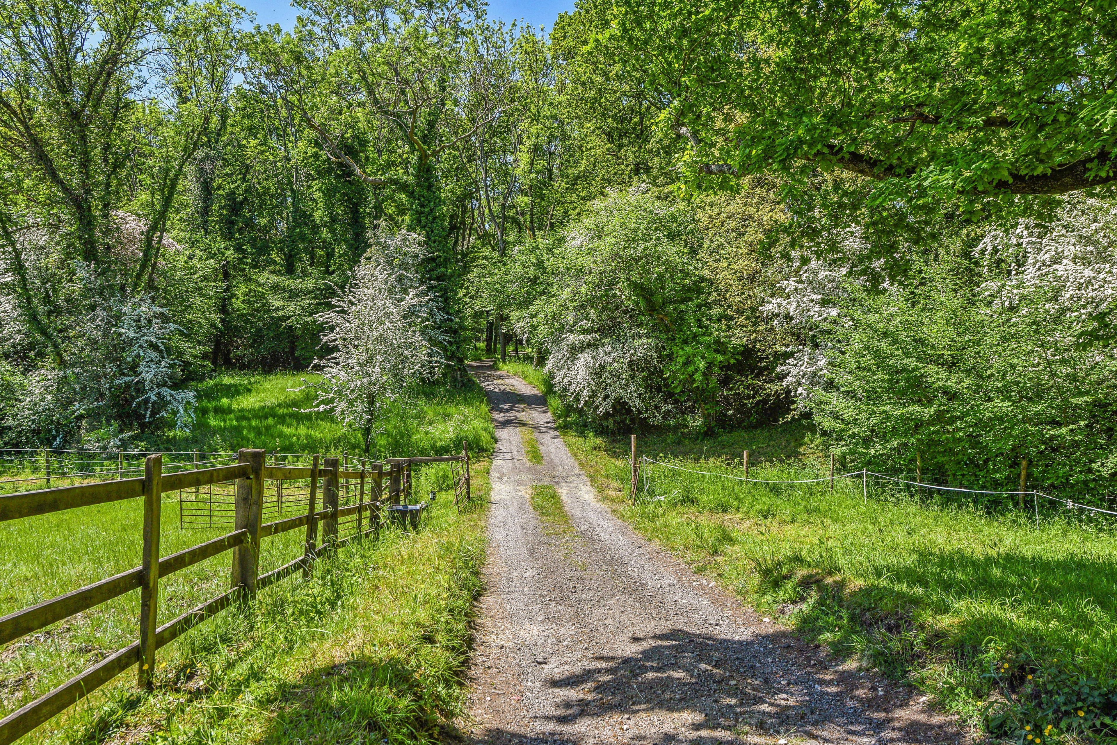 A gravel path flanked by wooden fences and lush greenery, leading through a wooded area.