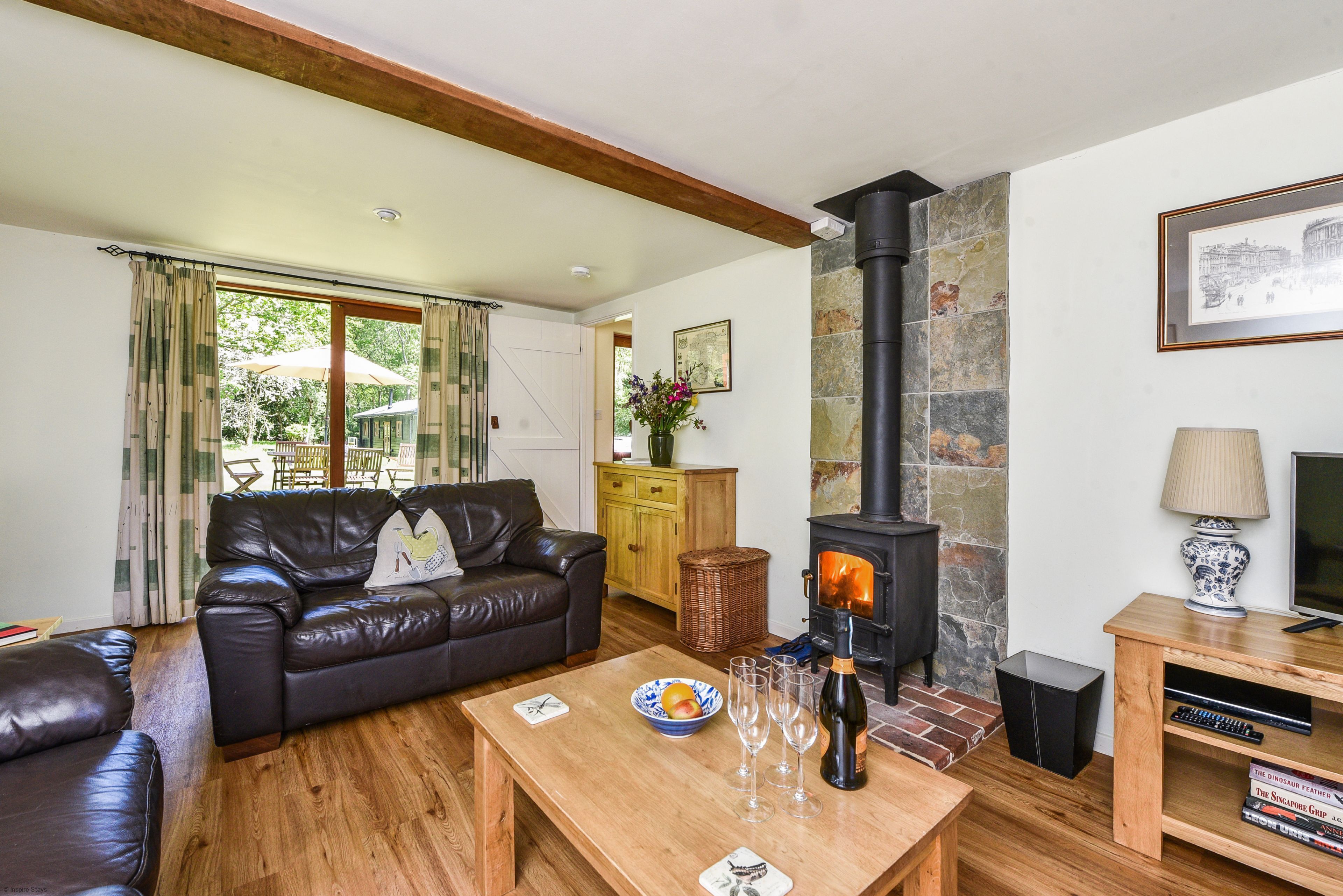 Smart TV, fireplace, books