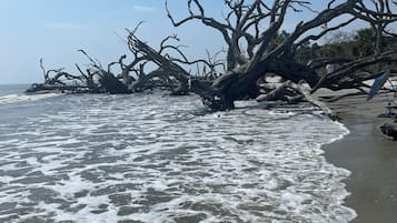 Sun loungers, beach towels