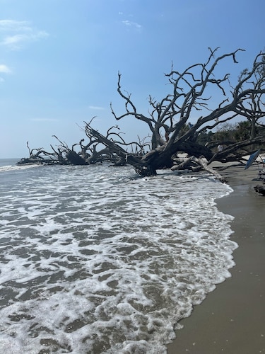 Bring the pets! Central to beach, 5 star dining, music, +++. 3 beds, bikes incl!