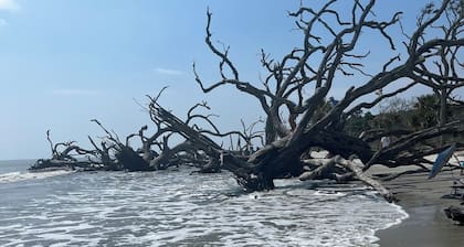 Bring the pets! Central to beach, 5 star dining, music, +++. 3 beds, bikes incl!