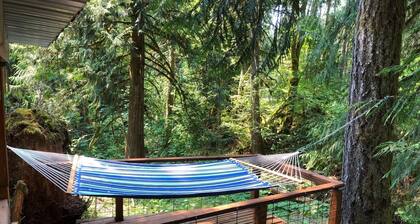 Cozy and Dog friendly retreat by Relaxing Creek & Hot tub by Lake Cushman