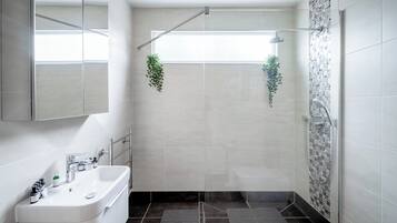 Shower, hair dryer, towels, soap