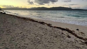 Una playa con huellas que conducen al agua, cielo despejado y montañas a la distancia.