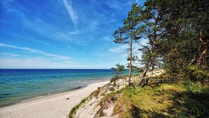 Une plage avec une eau d’un bleu limpide, un rivage sablonneux et des arbres.