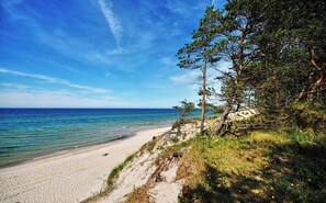 在海灘附近、躺椅