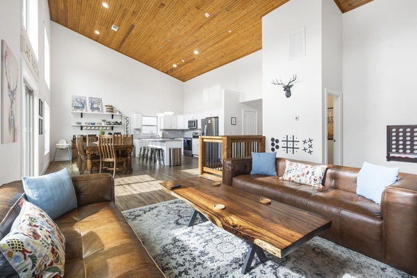 Smart-tv, pejs, dvd-afspiller, bordtennisbord