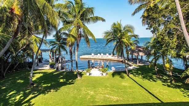 Un complexe hôtelier tropical doté d’une piscine entourée de palmiers et offrant une vue sur l’océan.
