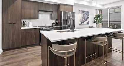 Luxury Downtown Condo Close to Shops/Eats/Bars