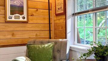 Smart TV, fireplace, books