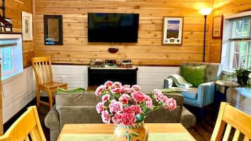 Een smart-tv, een open haard en boeken
