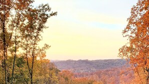 A forested area with trees displaying autumn colors, a small clearing with a blue bench, and a distant view of a hilly landscape. - Modern Oasis near everything. (Nashville)