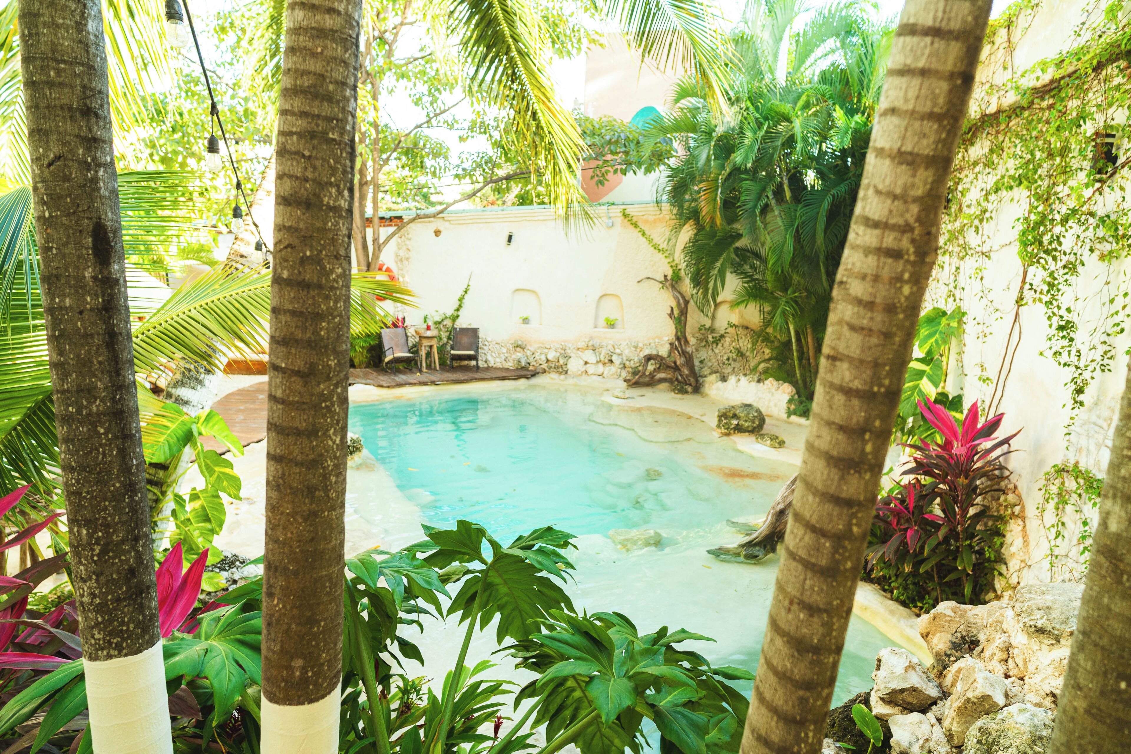 Piscine extérieure
