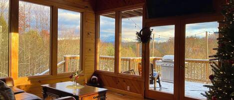 Smart TV, fireplace, video games, DVD player