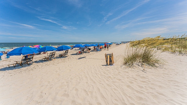 Een strand met rijen blauwe parasols en ligbedden, een houten looppad en duinen.