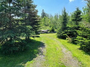 Driveway to yard