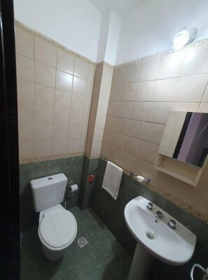 Hair dryer, bidet, towels, soap