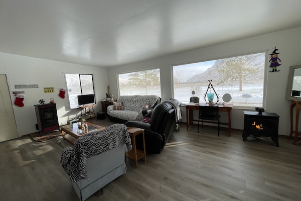 Smart TV, fireplace, books