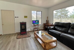 TV connectée, cheminée, livres