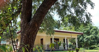 Green Haven – Peaceful Holiday Retreat in Anuradhapura