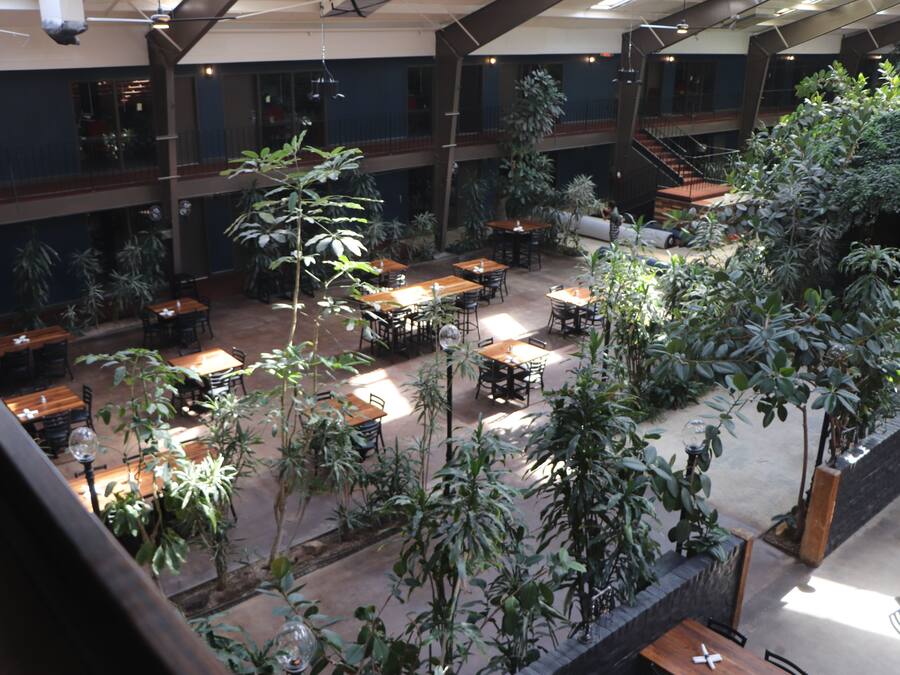An indoor dining area with multiple tables and chairs, surrounded by various plants and a staircase.