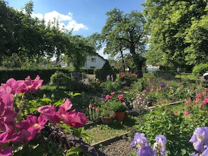 A garden with various flowers and trees, a white building in the background, and a fence surrounding the area. - 2-room apartment 'Lieblingsnest' with great terrace, 3 km from Lake Constance, Wi-Fi (Lindau (Bodensee))