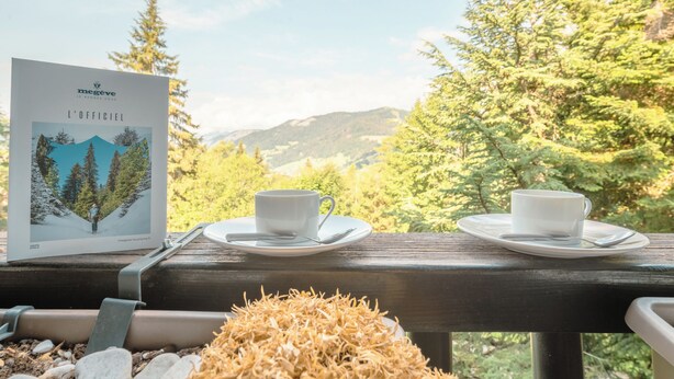 A wooden deck with two white cups on saucers, a framed poster, and a potted plant. - Apt Du Golf Du Mont d'Arbois in Megeve, near ski lift, Megeve (Chamonix), France (Megeve (Chamonix))