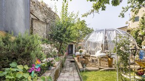 A garden with a pathway leading to a greenhouse, surrounded by plants and outdoor furniture. - Sky Room Carrara hydromassage with parking (Carrara)