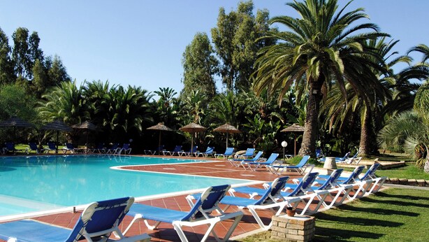 A poolside area with blue lounge chairs and umbrellas, surrounded by palm trees and greenery.