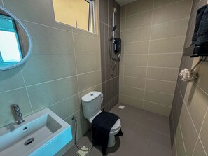 Ducha, cabezal de ducha tipo lluvia, secador de pelo, bidet
