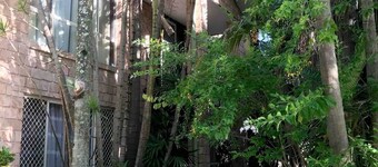 CASA ENCARNITA Papillon Guest House