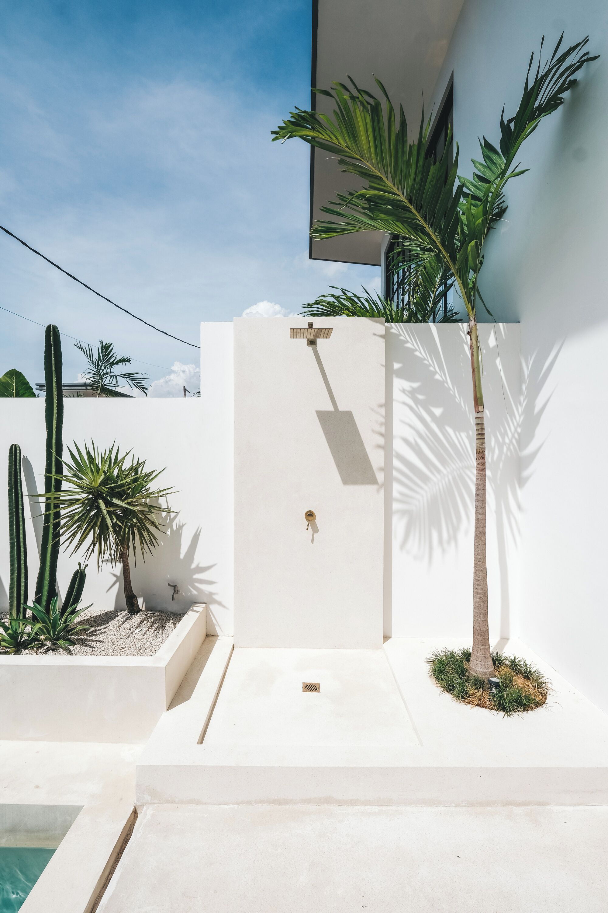 A modern outdoor area with a pool, white walls, and various plants including a palm tree.