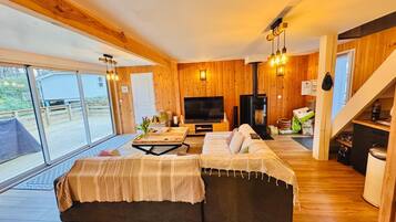 TV connectée, cheminée, livres, vidéothÚque