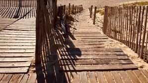 A wooden boardwalk leading to a beach with a clear sky and sun shining.
