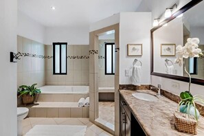 Bañera, secador de pelo, toallas y champú