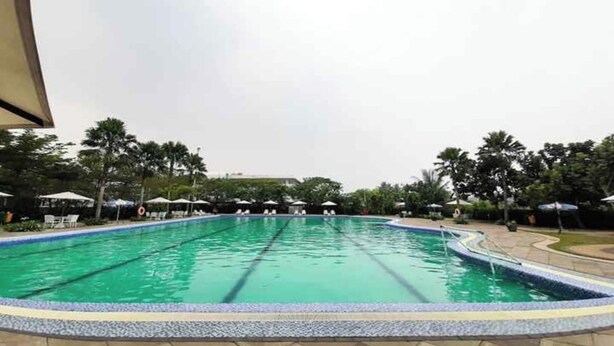 A swimming pool with clear water, surrounded by a tiled deck and palm trees.