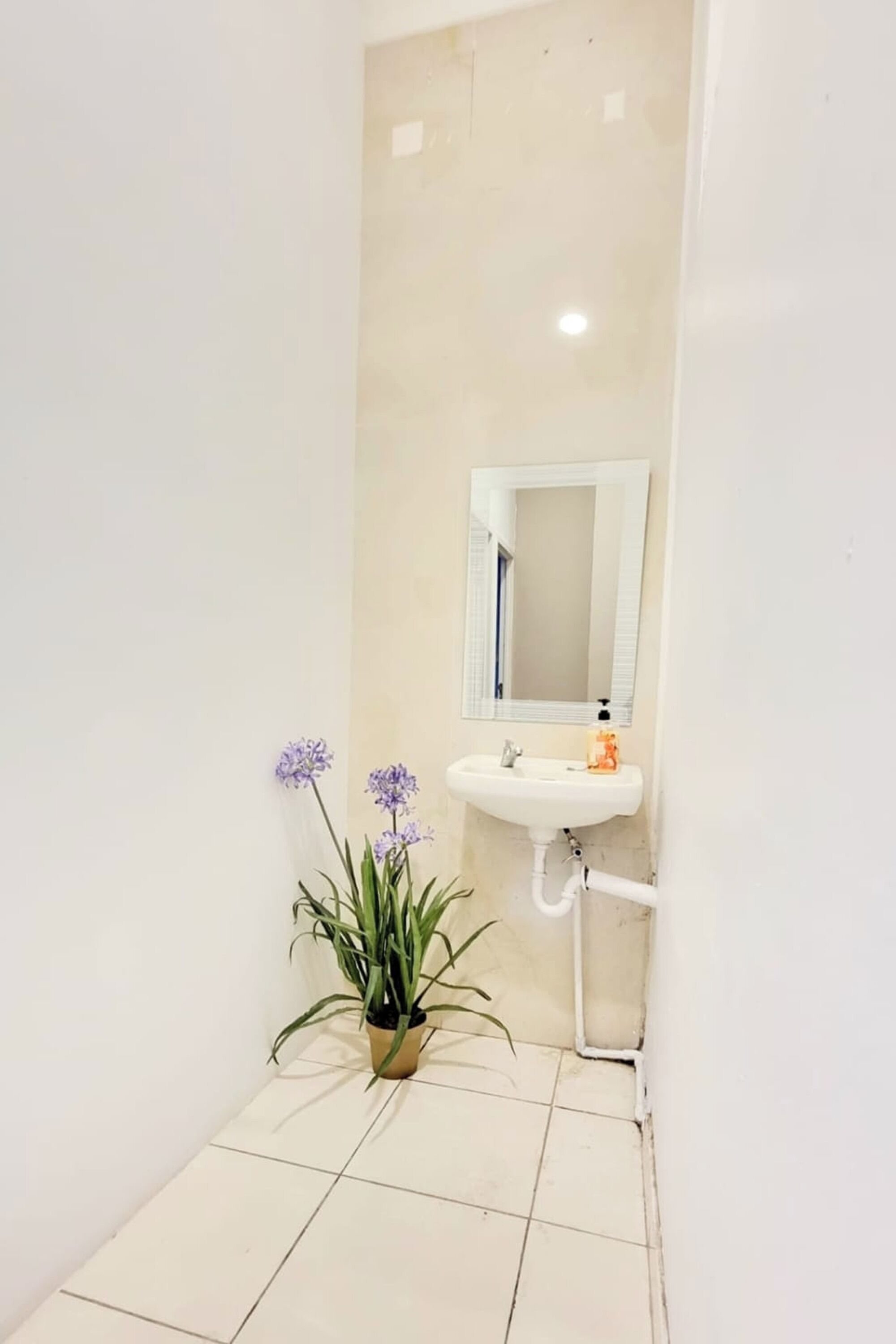 Een compacte badkamer met een wit wastafelmeubel, een spiegel en een potplant met paarse bloemen.